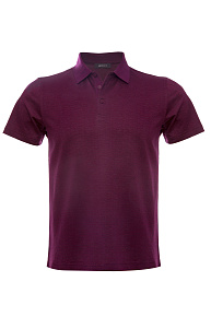 Поло на пуговицах бордового цвета  (4080 DW Bordo)